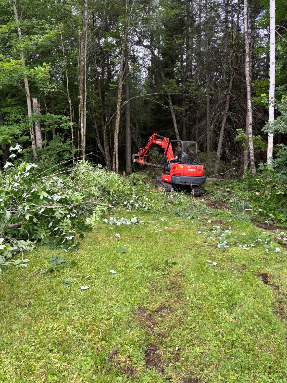 Travaux de déboisement