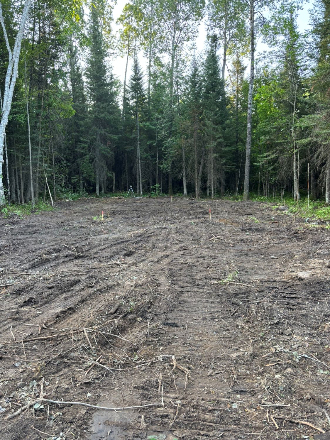 Travaux de déboisement